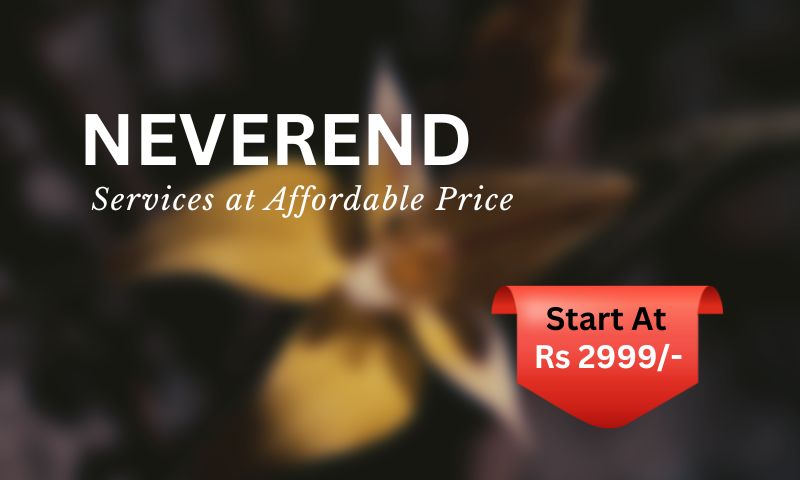 Premium escort service Mumbai starting at ₹2999 - affordable budget deals